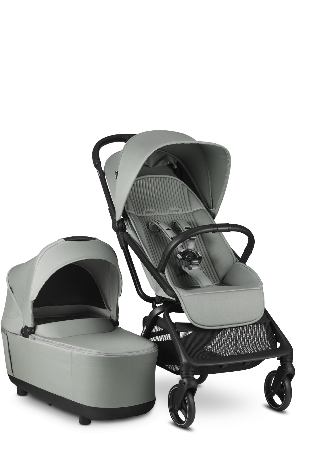 product-image-fresh-green-fresh-green