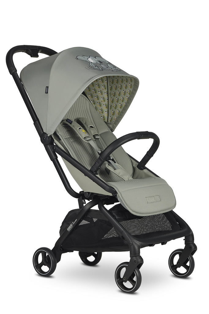 product-image-iconic