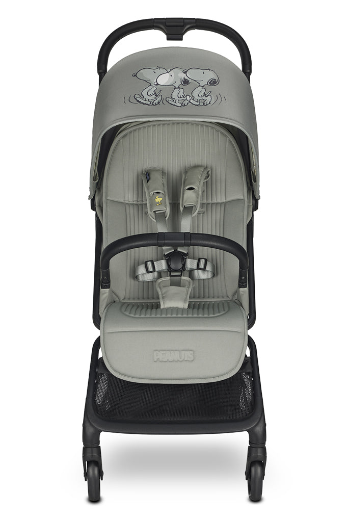 product-image-iconic