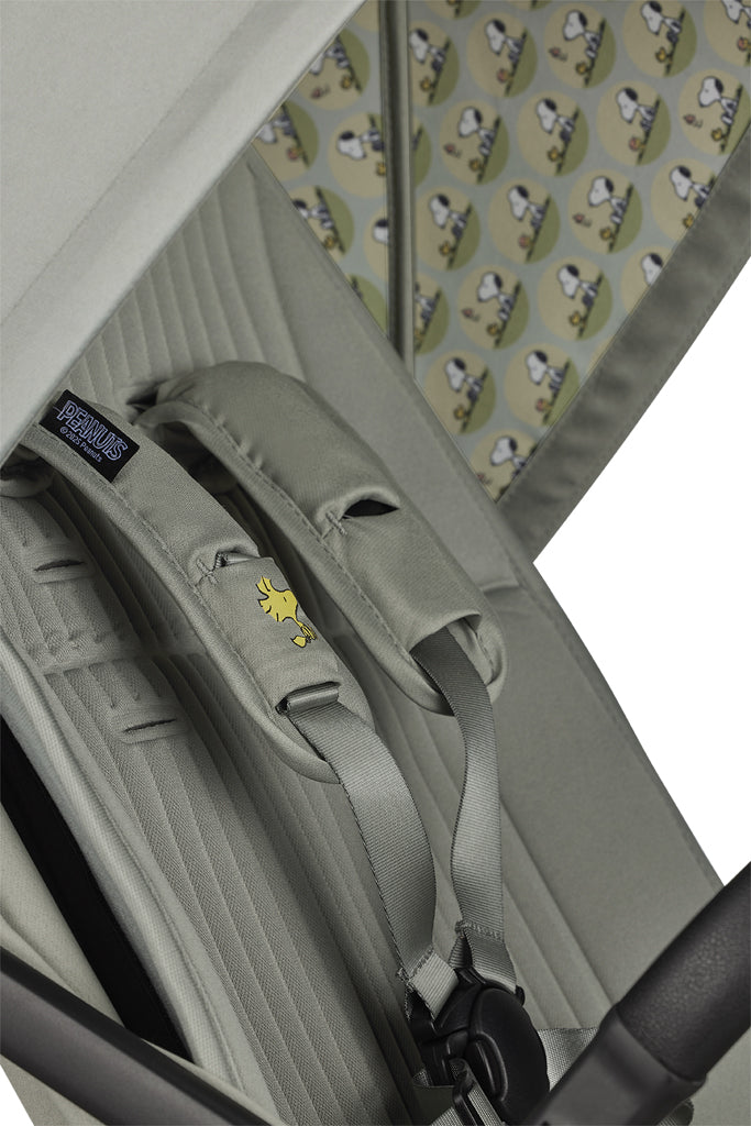 product-image-iconic